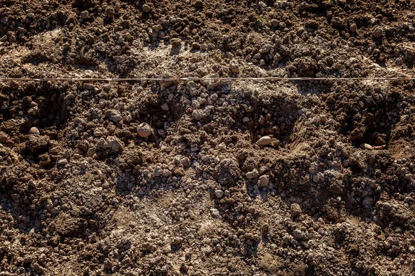 Ekmek Için Kazılmış Bir Çukurda Patates Geleneksel Bahar Çiftliği Işi — Stok fotoğraf