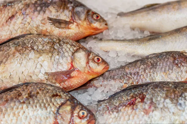 Frischer Fisch Auf Eis Der Markttheke Gesunde Ernährung Aus Nächster — Stockfoto