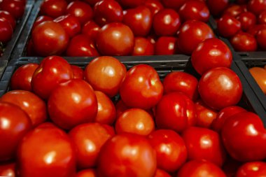 Süpermarkette tezgahın üzerinde olgun domatesler. Yakın plan. Geçmişi. Mesaj için yer var. Sağlıklı beslenme ve vejetaryenlik.