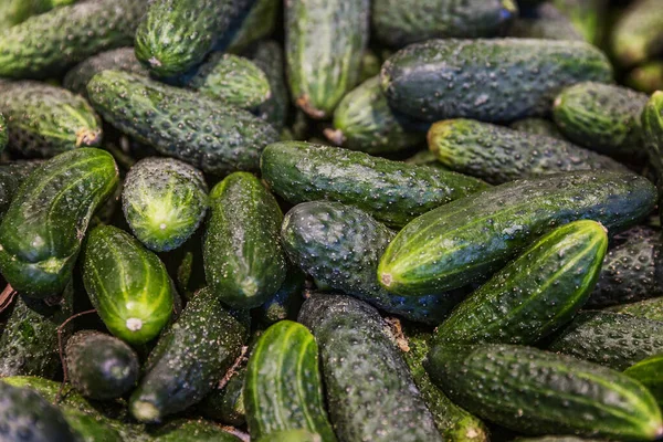 Många Färska Gurkor Marknaden Disk Vegetarianism Och Hälsosam Kost Ovanifrån — Stockfoto