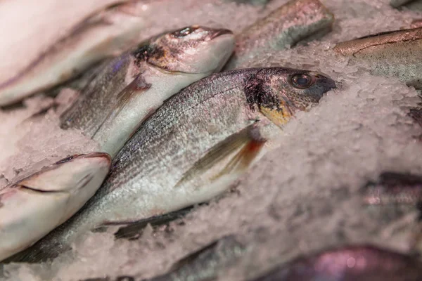 Eine Reihe Frischer Fische Auf Eis Der Markttheke Nahaufnahme Gesunde — Stockfoto