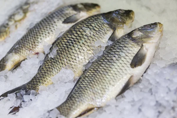 Eine Reihe Frischer Fische Auf Eis Der Markttheke Nahaufnahme Gesunde — Stockfoto