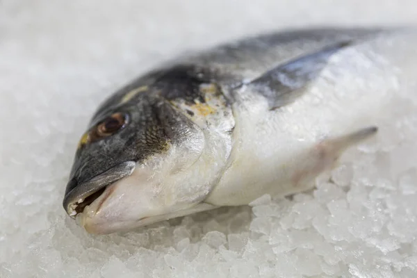Φρέσκα Ψάρια Στον Πάγο Έναν Πάγκο Της Αγοράς Κοντινό Πλάνο — Φωτογραφία Αρχείου