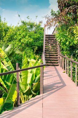 Parkta yürüyüş yolu