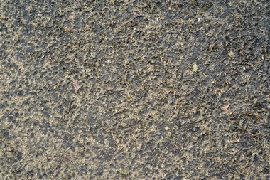 Kaba ıslak kum doku