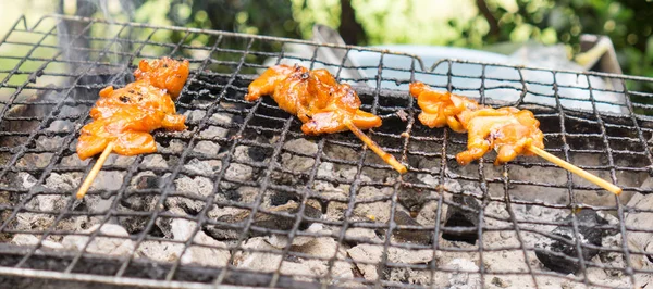 Szén-grillezett csirke — Stock Fotó