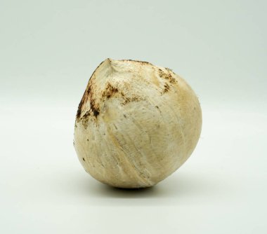 beyaz izole kavrulmuş Hindistan cevizi