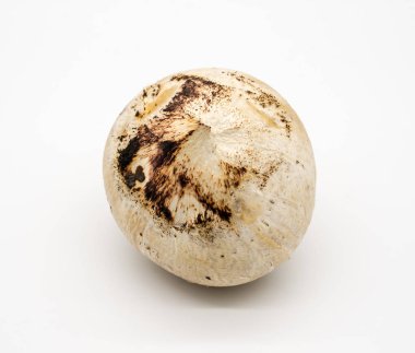 beyaz izole kavrulmuş Hindistan cevizi