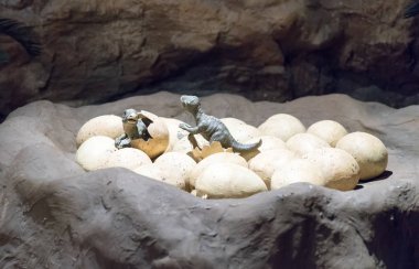 İki küçük dinozor sadece tarihi
