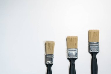 Beyaz izole siyah boya fırçaları 