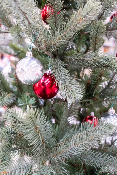 Cerrado brillante plata y bolas rojas de Navidad colgando bajo spr —  Fotos de Stock