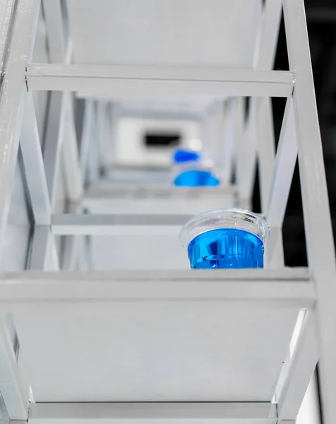 Niebieski Woda wewnątrz Wyczyść plastikowy kubek na biały metal półka zbrojone — Zdjęcie stockowe
