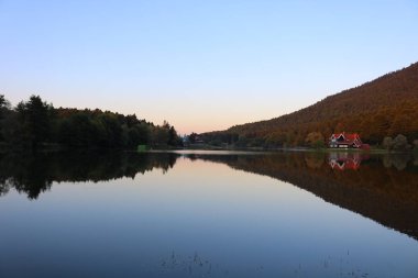Göl evi ve orman yansıması