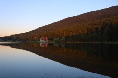 Göl evi, orman ve yansıma
