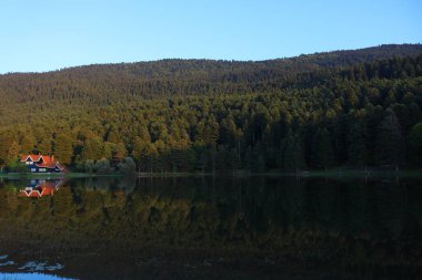 Orman ve göl evi