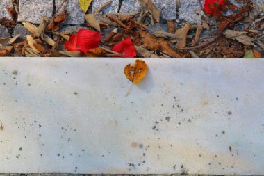 Yere düşen yapraklar.