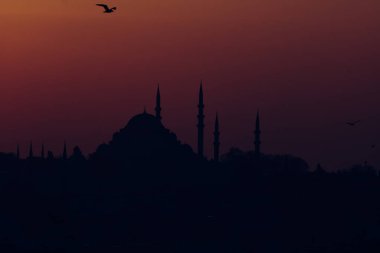 Süleyman Camii 'nin silueti ve alacakaranlıkta bir martı..
