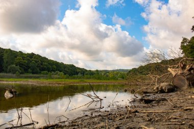 Bulutlu göl ve orman manzarası