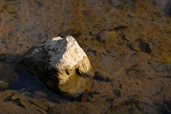 Single Rock Clear Water — Stock Photo, Image