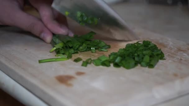 Picar cebolla de primavera en el tablero de la cocina — Vídeo de stock