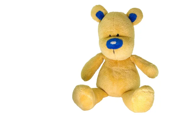 Urso amarelo, com nariz azul . — Fotografia de Stock