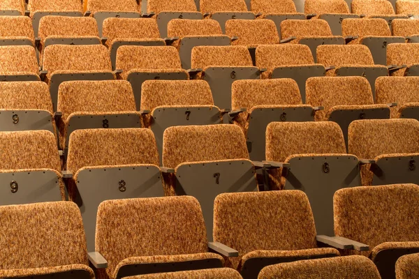 Hall sarı sandalyeler, boş hall konser — Stok fotoğraf