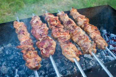 Bir mangal üzerinde bir tatil için hazırlanan domuz şiş kebap.