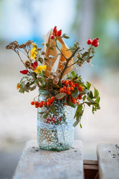 Növények a váza fehér pöttyös. — Stock Fotó