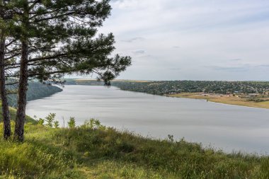 Nehir ve köy görünümünü. Mavi gökyüzü bulutlu. Ön plan çam. Fotoğraf.