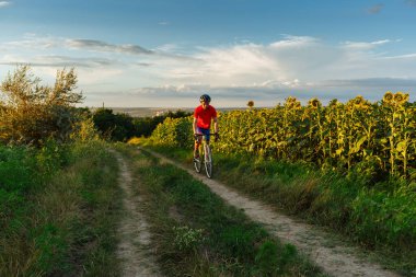 Kırmızı mavi formundaki bisikletçi ile ayçiçeği alanları gidiyor. Güzel bir mavi gökyüzü arka planda. Yatay olarak çerçeveli atış.