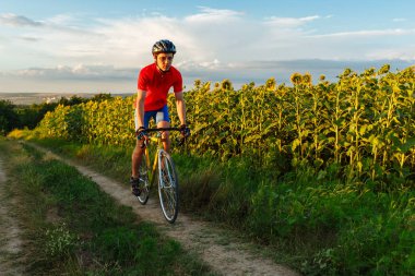 Kırmızı mavi formundaki bisikletçi ile ayçiçeği alanları gidiyor. Güzel bir mavi gökyüzü arka planda.