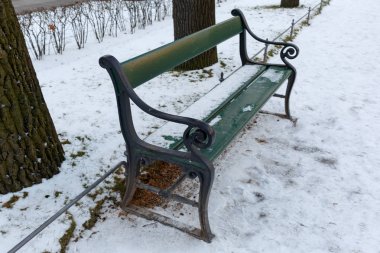 Kışın yeşil tezgah.