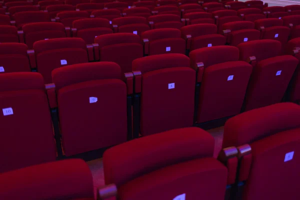 Asientos rojos con números en cine, teatro, sala de conciertos . —  Fotos de Stock