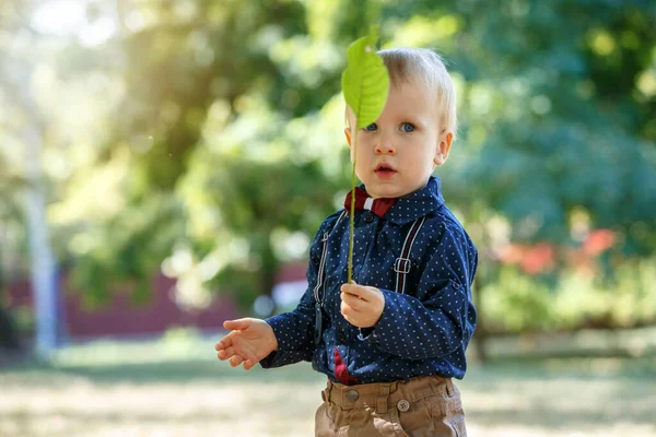 Retrato de un niño lindo en el fondo de la naturaleza. Sosteniendo una hoja. Camina por el parque. Vida familiar . — Foto de Stock