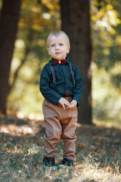 Retrato de un niño lindo en el fondo de la naturaleza. Camina por el parque. Vida familiar . — Foto de Stock