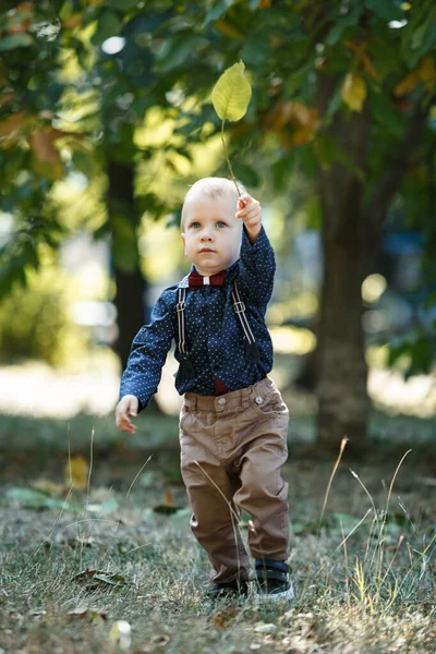 Portrait of a cute little boy on the background of nature. Holding a leaf. Walk in park. Family life.