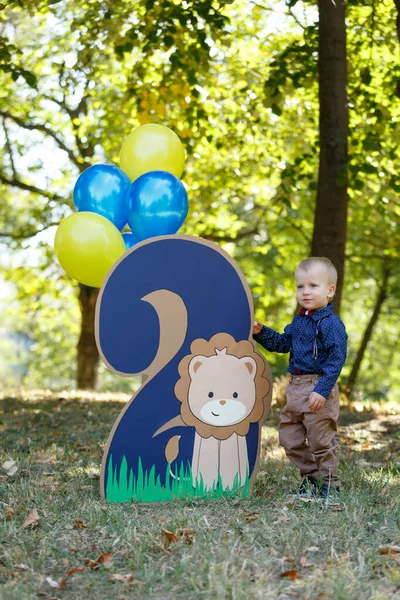 Πορτρέτο ενός χαριτωμένου μικρού αγοριού στο φόντο της φύσης. Γενέθλια ενός δίχρονου αγοριού. Διακόσμηση με τον αριθμό δύο με λιοντάρι και μπαλόνια. — Φωτογραφία Αρχείου