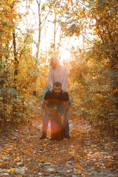 Jong mooi koppel en hun labrador in het park. Een man houdt een vrouw op zijn rug. Op de achtergrond herfstbos. Stralen van ondergaande zon breken door de takken van bomen. — Stockfoto