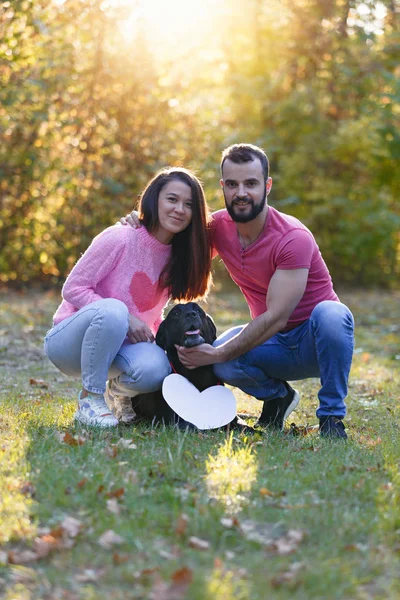 Молода пара закохалася в парк. Між ними чорний лабрадор з білим знаком у формі серця. Поняття щасливого сімейного життя в любові . — стокове фото
