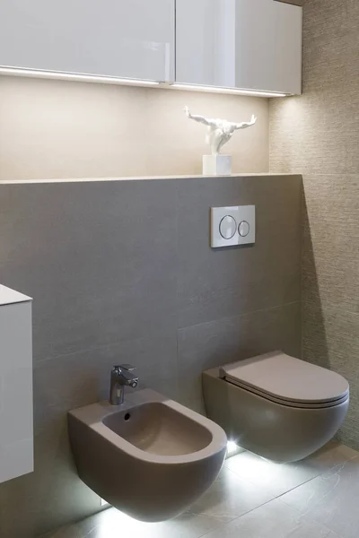 Braune Toilette Und Bidet Modernes Interieur Wirtschaftliche Weiße Toilettenspülpresse Mit lizenzfreie Stockfotos
