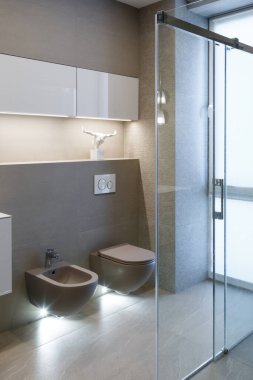 Kahverengi tuvalet ve bide. Modern WC iç mimarisi. Sifonu çekmek için iki ayrı düğmesi olan ekonomik tuvalet beyazı sifonu. Alt ışık. Heykelciği olan raflar. Dikey çerçevelenmiş çekim.