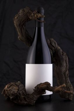Bir asma ile siyah bir arka plan izole kırmızı şarap şişesi