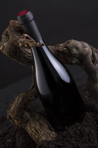Botella de vino con vid para abrazar la botella, de tierra y fondo negro — Foto de Stock