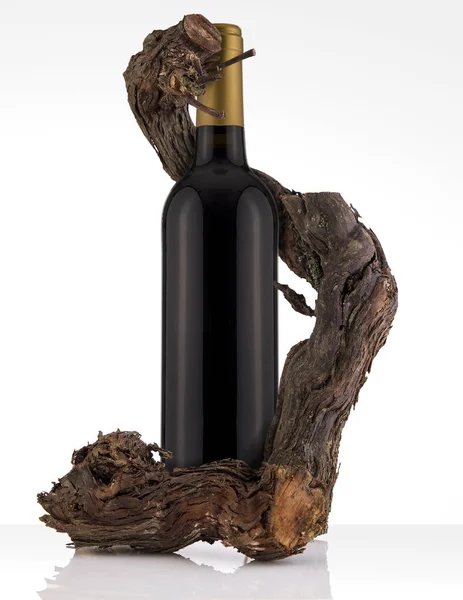 Bottiglia di vino rosso isolata su sfondo bianco, senza etichetta e vite — Foto Stock