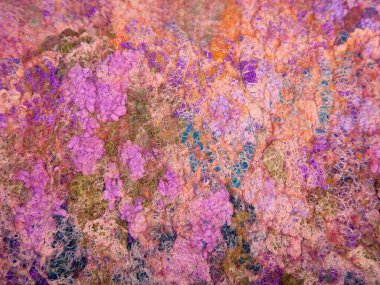 Keçeleşme tekniğindeki doğal yün dokusu. Yakın plan, arka plan, duvar kağıdı. Leylak-pembe-turuncu renk şeması. Dekorasyonsuz tek parça yüzey.