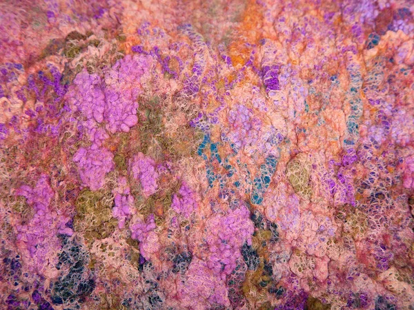 Keçeleşme tekniğindeki doğal yün dokusu. Yakın plan, arka plan, duvar kağıdı. Leylak-pembe-turuncu renk şeması. Dekorasyonsuz tek parça yüzey.