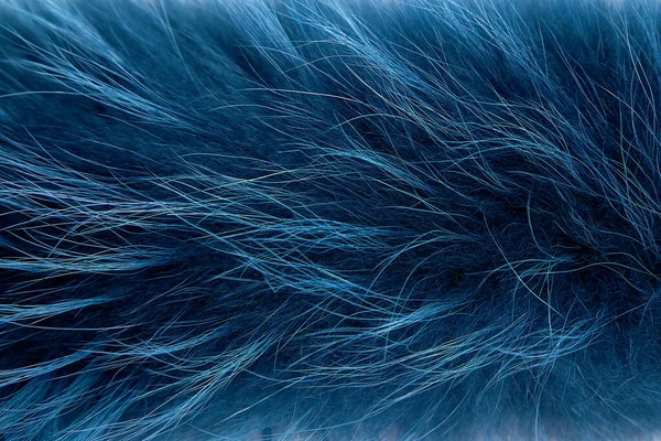 Текстура Длинношерстного Меха Arctic Fox Синяя Закрывай Фон Обои Естественный — стоковое фото