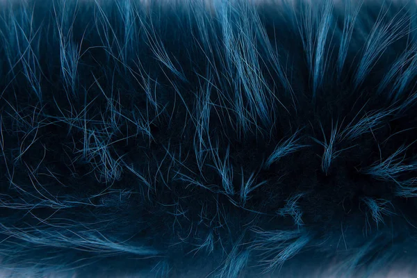 Textura Piel Pelo Largo Del Zorro Ártico Azul Oscuro Cerca — Foto de Stock