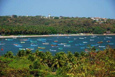Bir liman tam renkli teknelerin Candolim, Goa, Hindistan