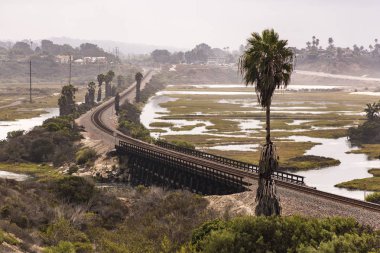 Tren rayları ve palmiye ağaçları